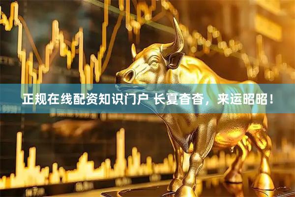 正规在线配资知识门户 长夏杳杳，来运昭昭！
