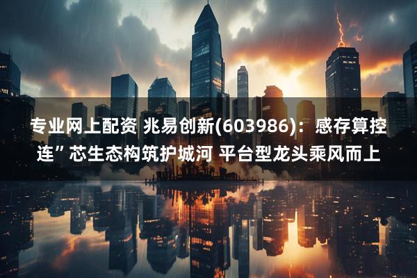 专业网上配资 兆易创新(603986)：感存算控连”芯生态构筑护城河 平台型龙头乘风而上