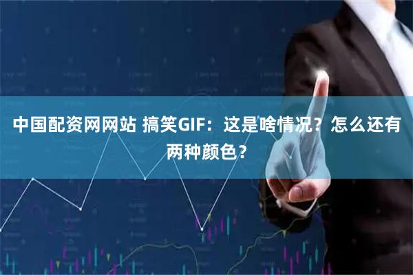 中国配资网网站 搞笑GIF：这是啥情况？怎么还有两种颜色？